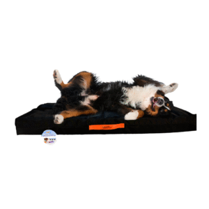 CAMA ALASKA IMPERMEABLE_2_www.majestikpets.com