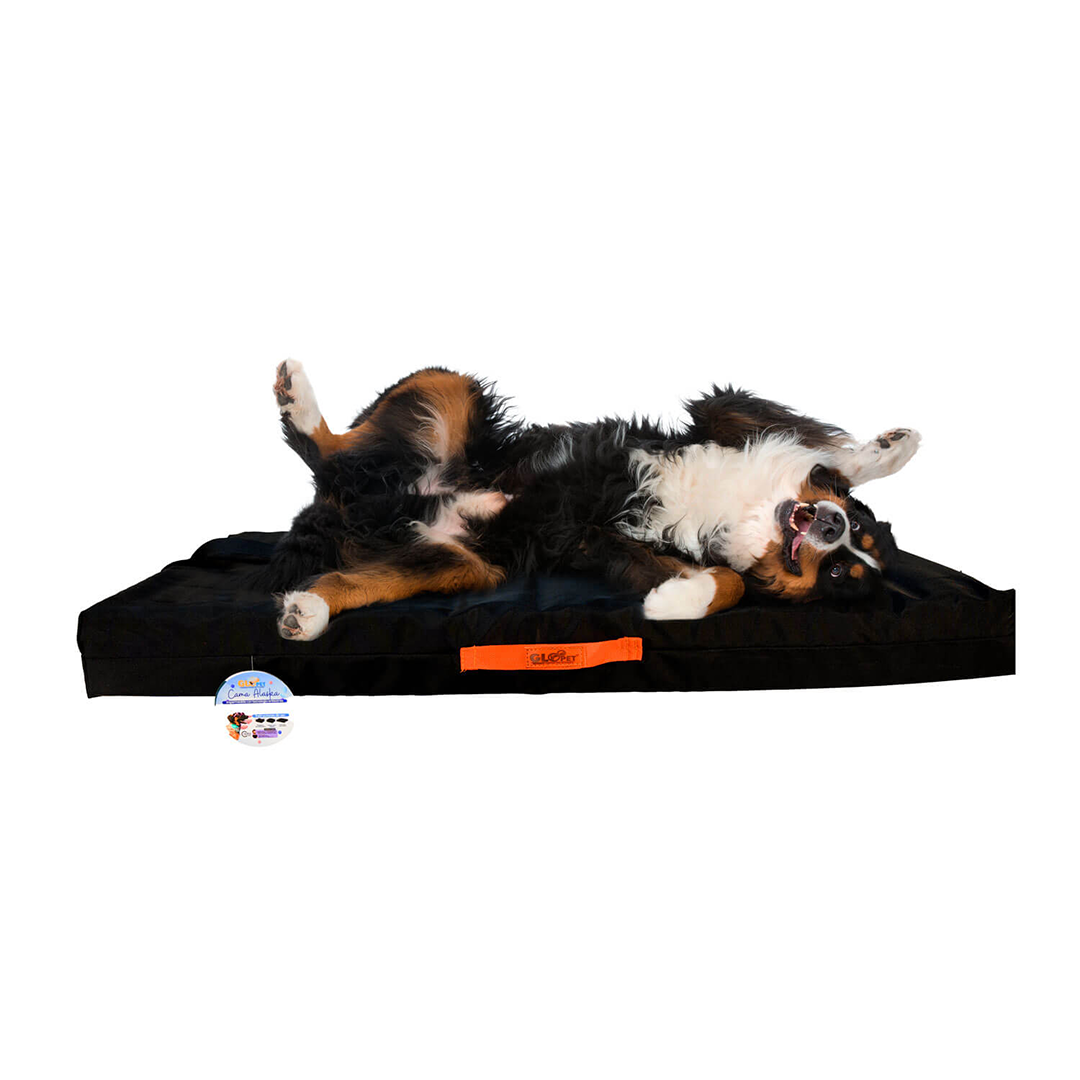 CAMA ALASKA IMPERMEABLE_2_www.majestikpets.com