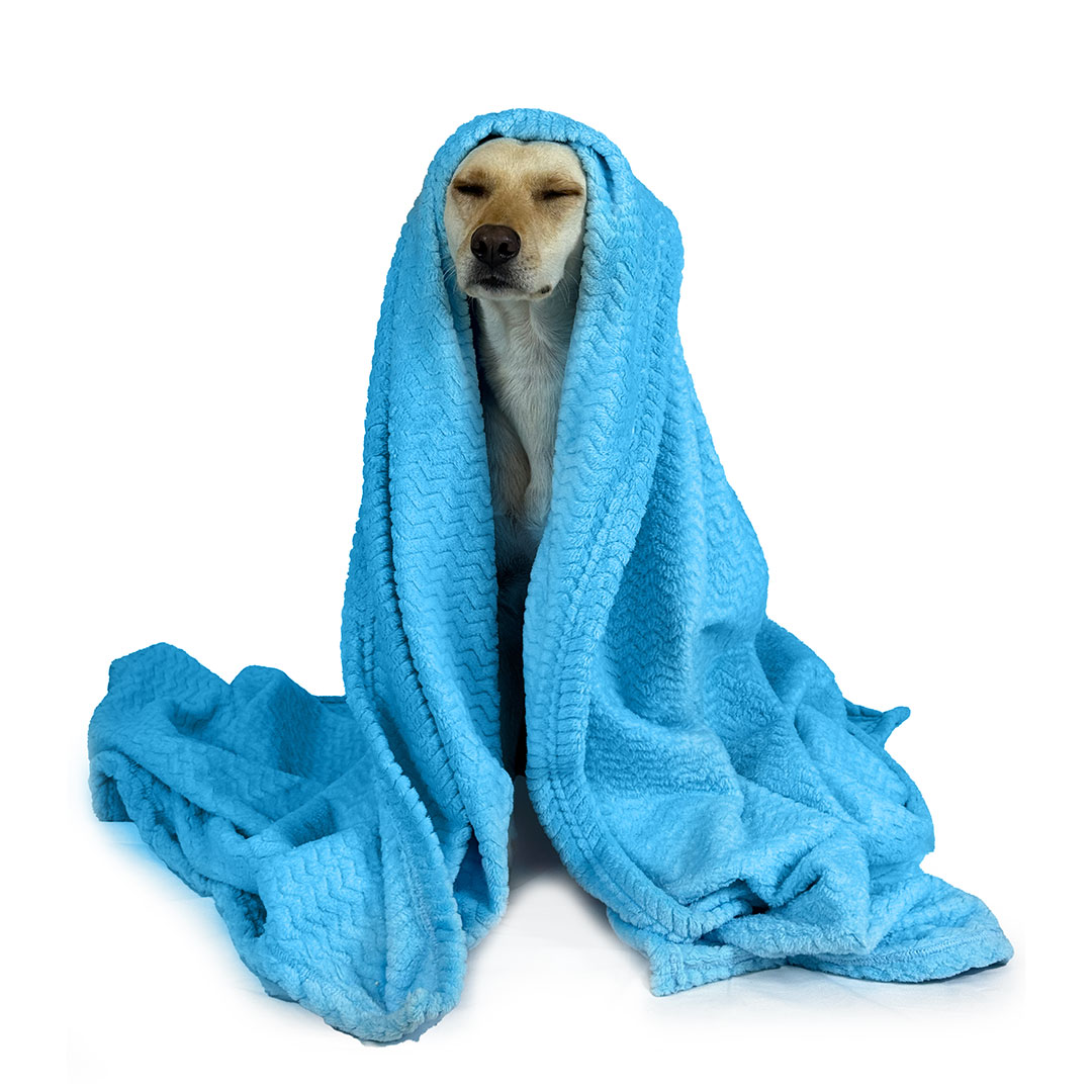 COBIJA TÉRMICA - Image 4