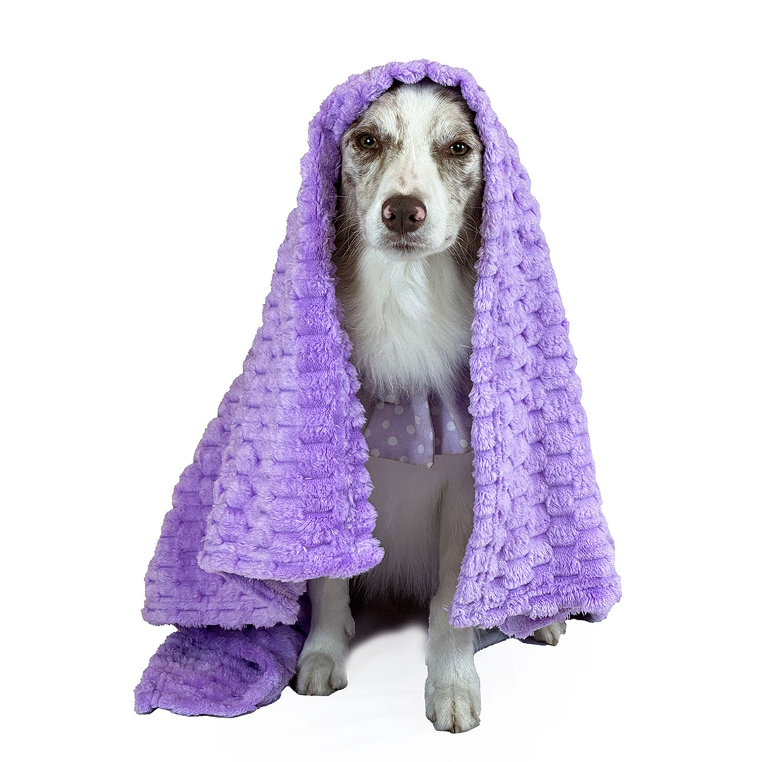 COBIJA TÉRMICA - Image 2