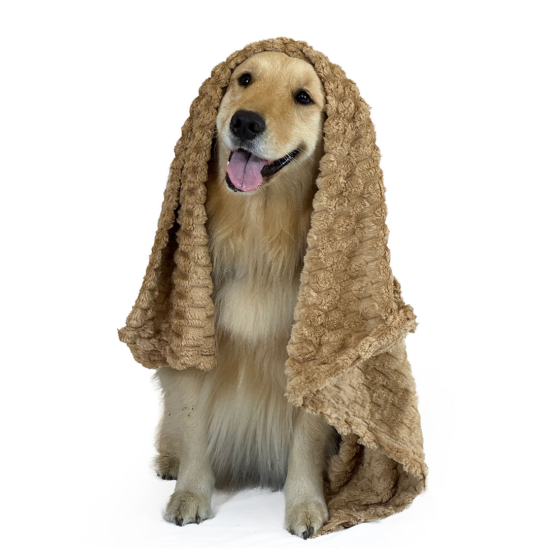 COBIJA TÉRMICA - Image 3