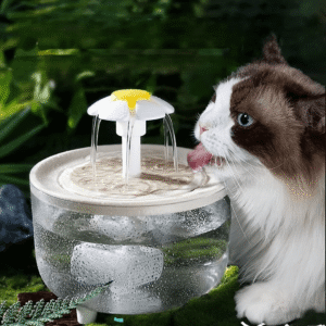 FUENTE PARA GATOS_1_www.majestikpets.com