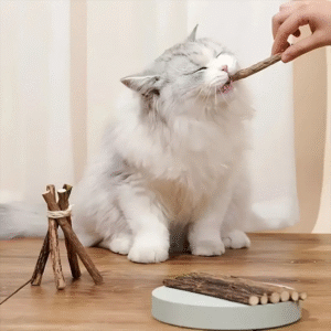 PALITOS TATAMI_1_www.majestikpets.com