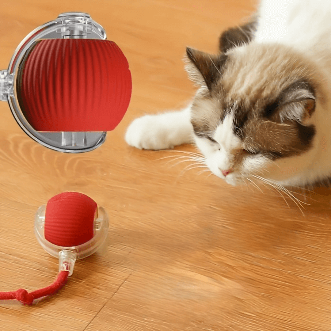 PELOTA INTERACTIVA_3_www.majestikpets.com