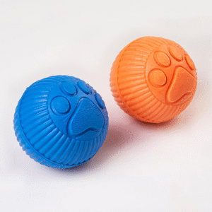 PELOTA PAW DAY GRANDE_3_www.majestikpets.com