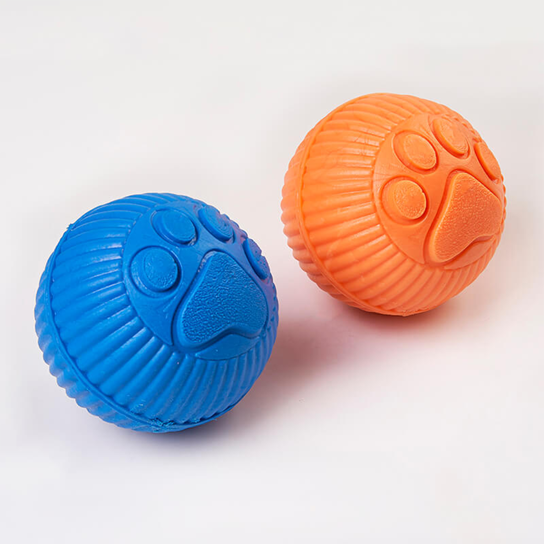 PELOTA PAW DAY GRANDE_3_www.majestikpets.com