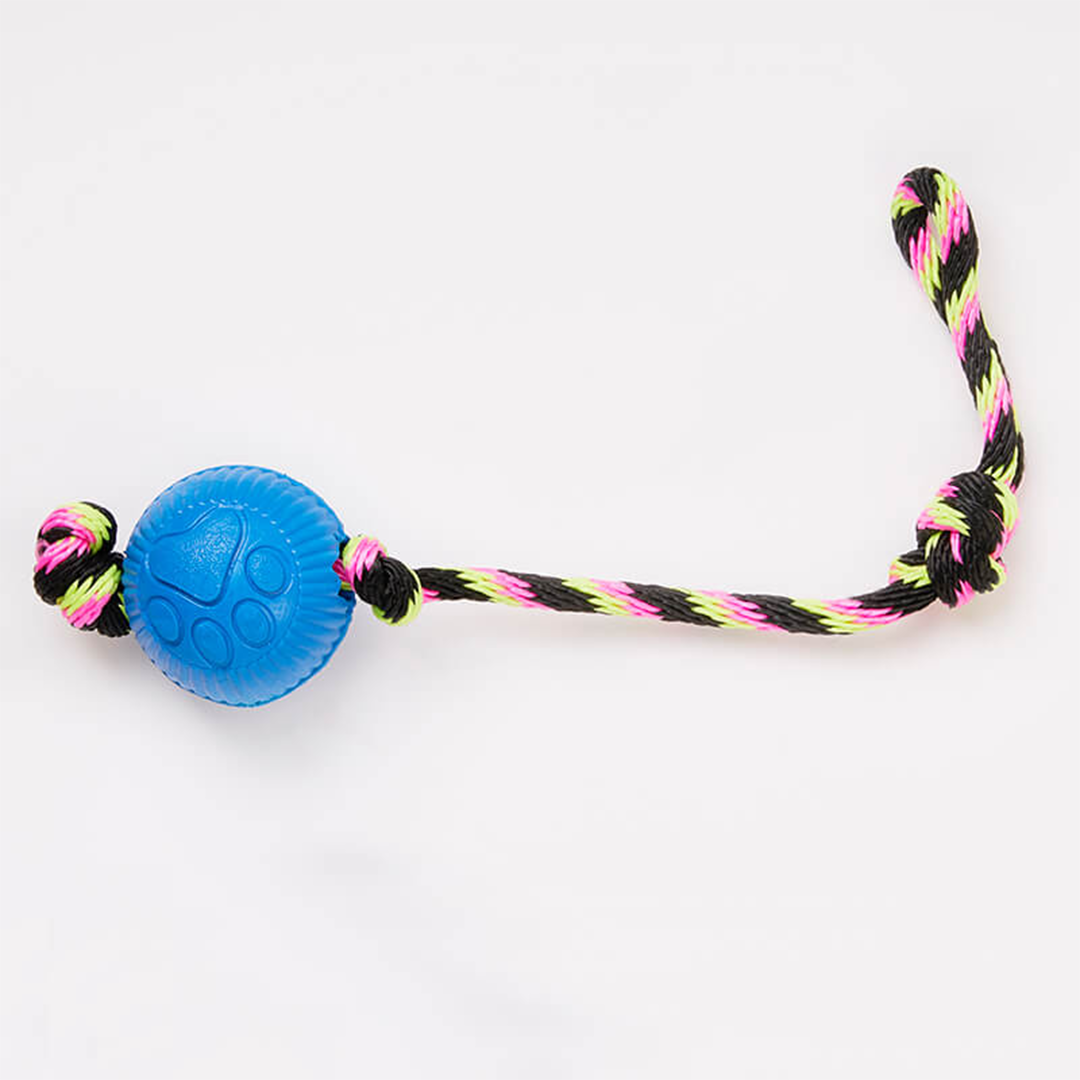 PELOTA PEQUEÑA CON LAZO_2_www.majestikpets.com