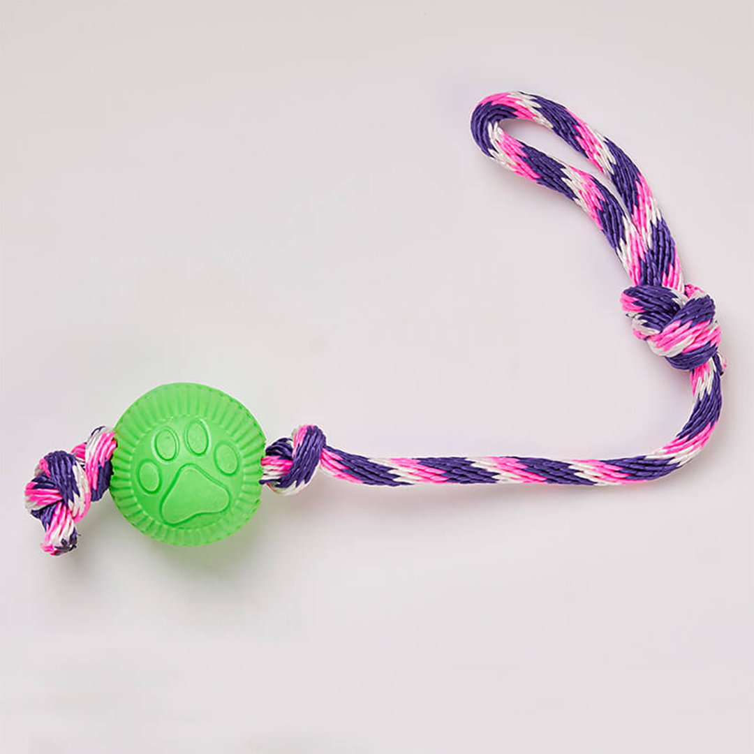 PELOTA PEQUEÑA CON LAZO_3_www.majestikpets.com