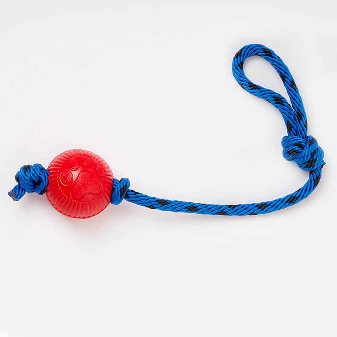 PELOTA PEQUEÑA CON LAZO_4_www.majestikpets.com