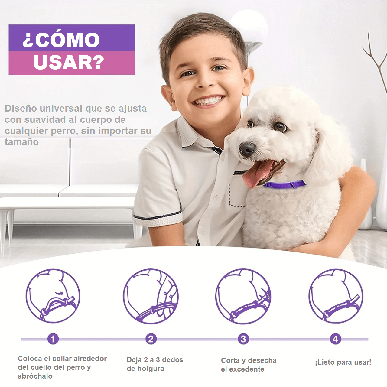 COLLAR CALMANTE PARA PERROS CON FEROMONAS - Image 5