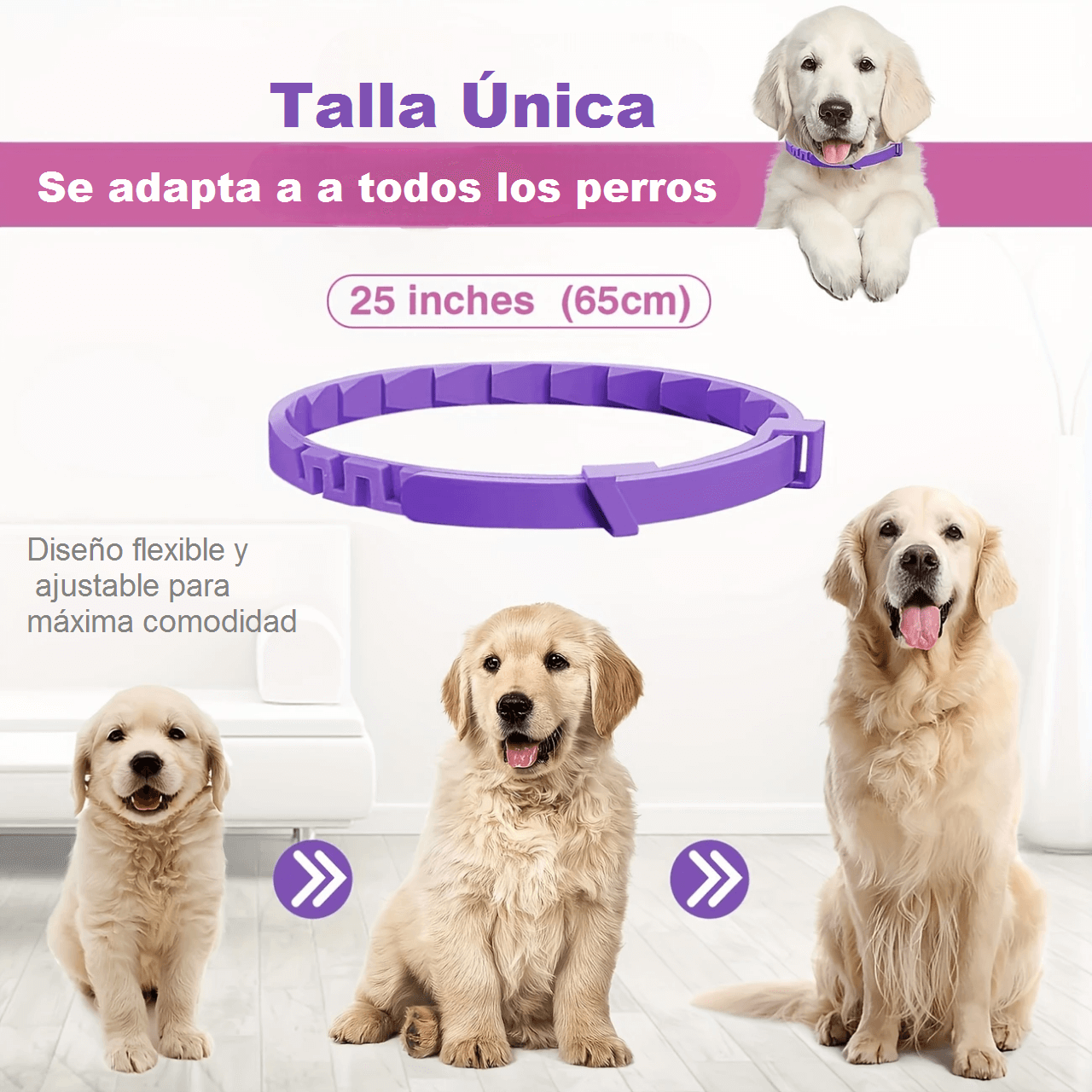 COLLAR CALMANTE PARA PERROS CON FEROMONAS - Image 3